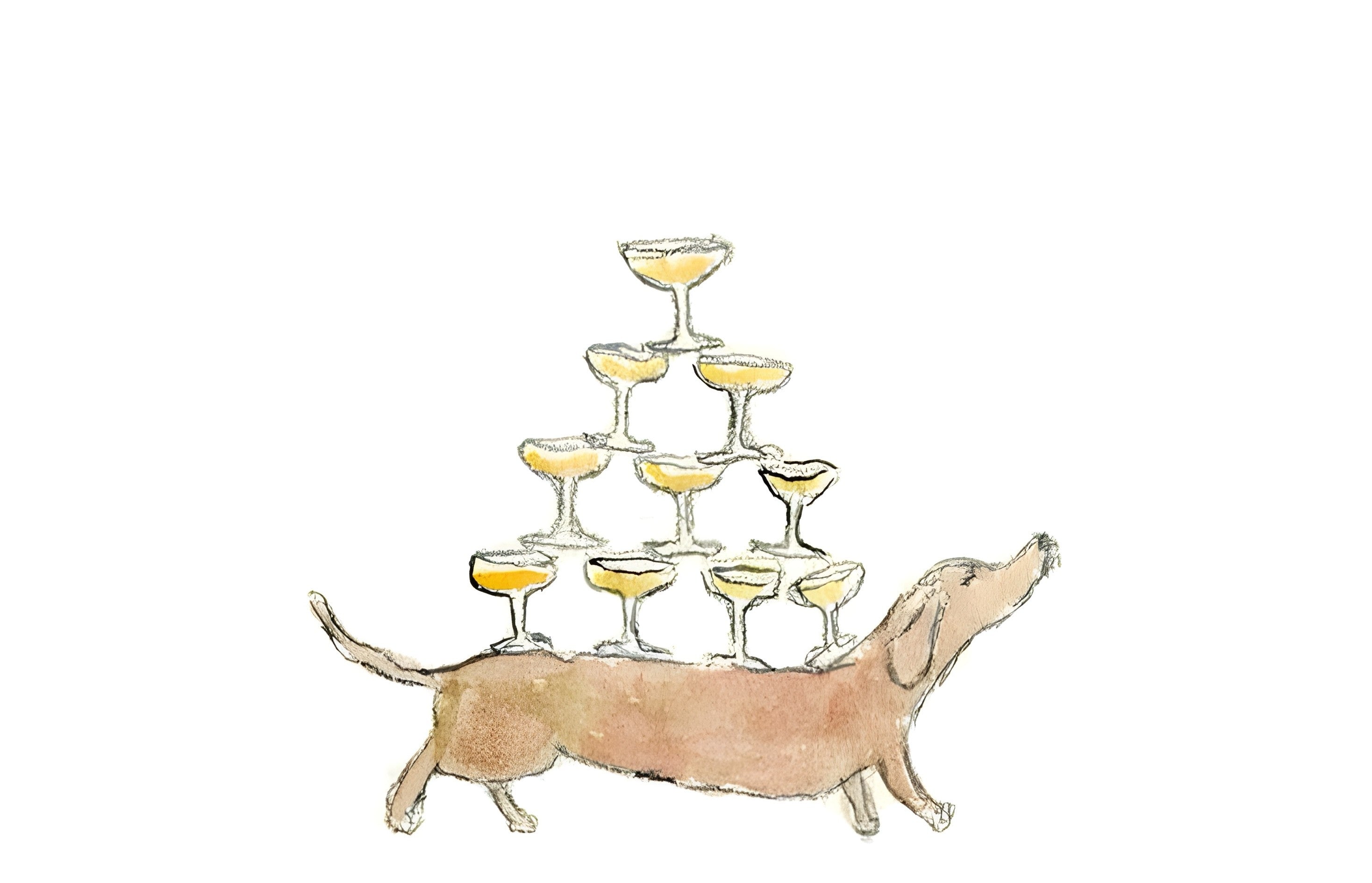 dog&drink