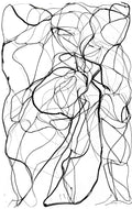 lineales VI